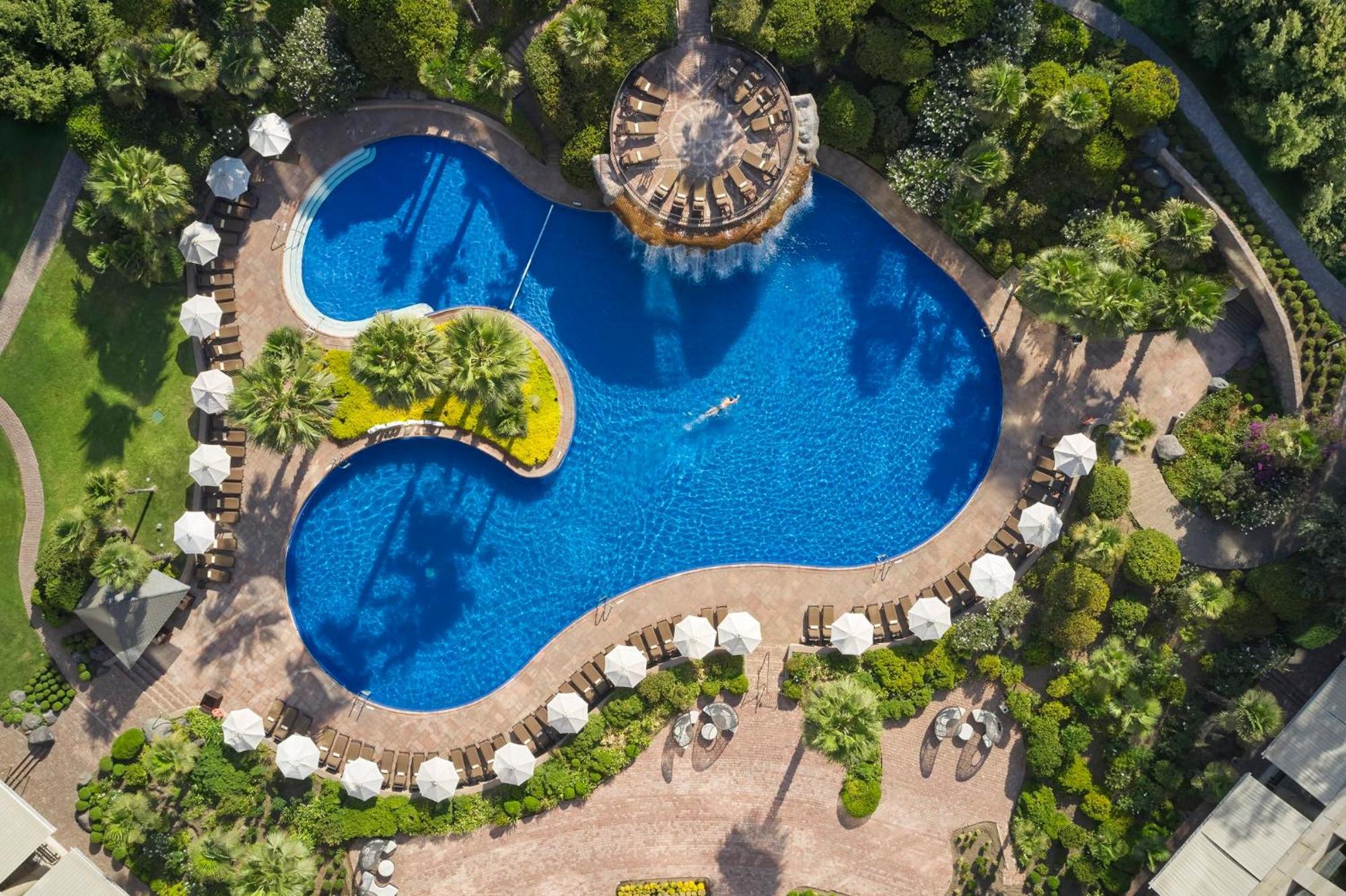 Mandarin Oriental, Santiago Hotel Ngoại thất bức ảnh The swimming pool at the hotel